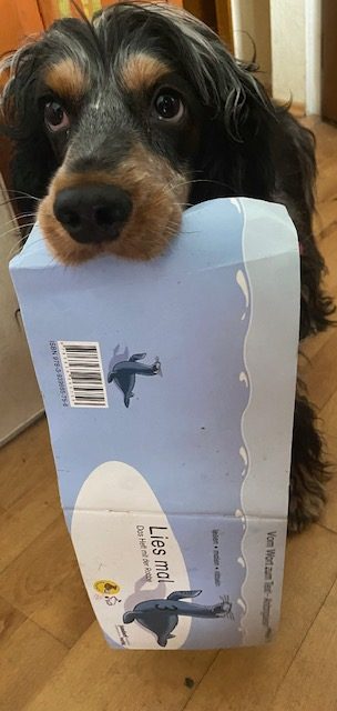 Ihr Partner für professionelle Immobilienverwaltung